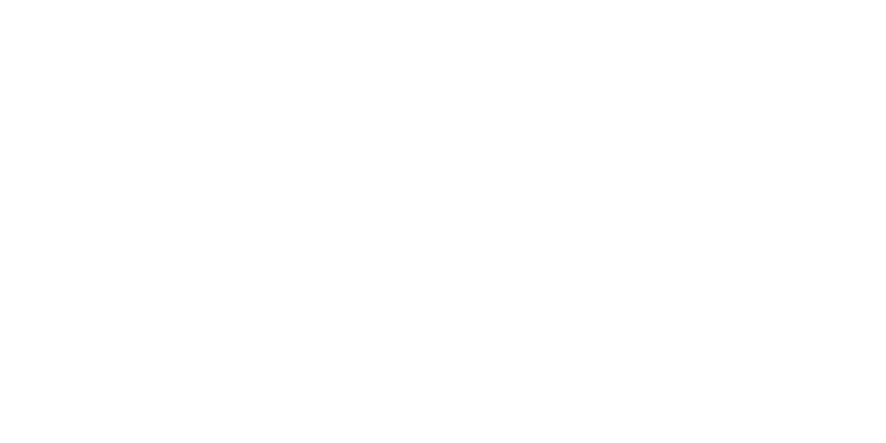 Insight Robotics